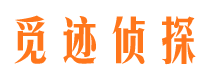 东丰侦探公司